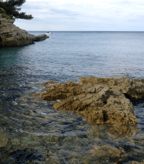 Ohne Titel Ohne Titel