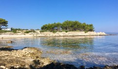 0B1F77F7-FEE9-4A4E-89AA-982EF912D31B